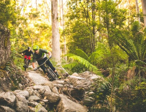 Eungella-Finch Hatton Mountain Bike Feasibility Study