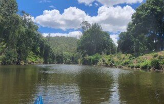 A photo of a river taken by a person sitting in a canoe