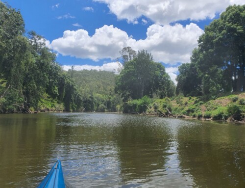 Mid-Upper Logan and Albert Rivers Canoe Trail Scoping Study